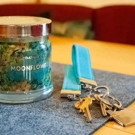 Modern In Near Area *